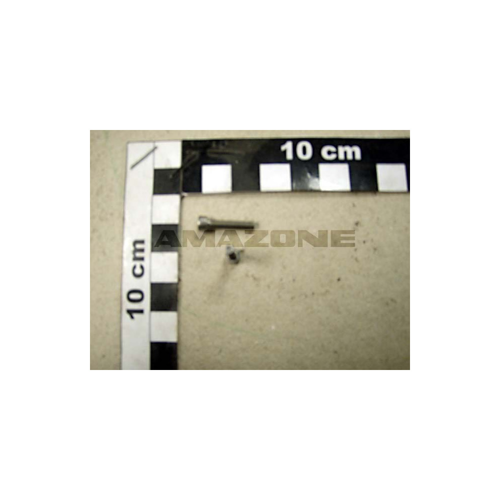 Vis 03X 16 4762 A2-70 DA774 Amazone