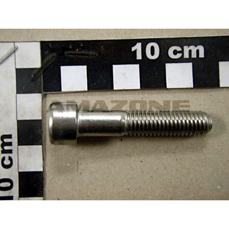 VIS 10X50 INOX UG Réf. DA781 AMAZONE VIS 10X50 INOX UG Réf. DA781 AMAZONE