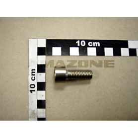Vis 12X 30 4762 A2-70 UF DA783 Amazone