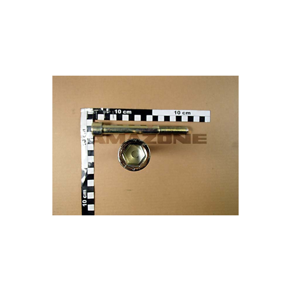Vis de fixation DA791 Amazone