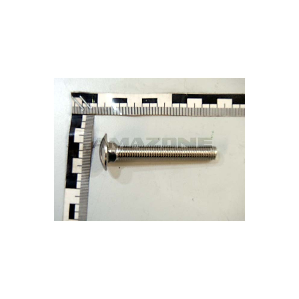 Vis 10X70 A2-70 DA798 Amazone