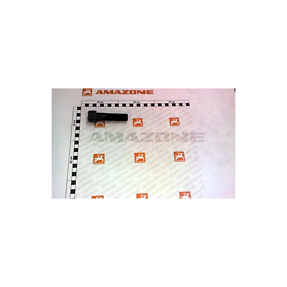 Vis 20x1.5x80 4762 DA827 Amazone