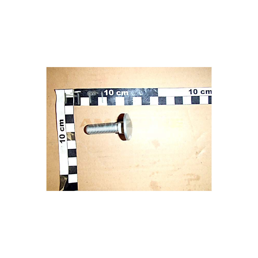 Vis 12 X 45 10.9 DA838 Amazone