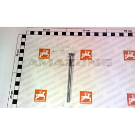 Vis 06X110 8677 8.8 A2G kit evacua DA843 Amazone