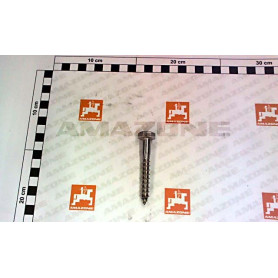 Vis 10X70 571 A2G TIRE-FOND DA849 Amazone
