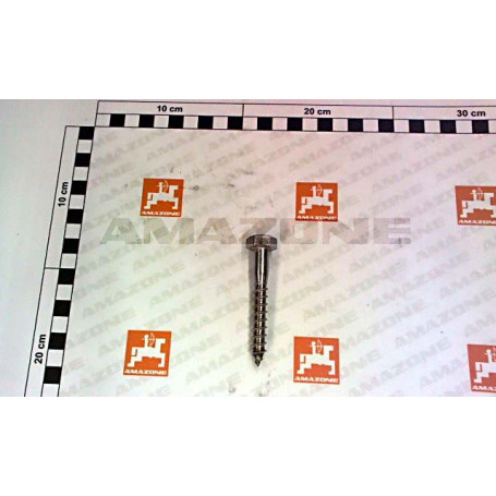 VIS 10X70  571 A2G TIRE-FOND Réf. DA849 AMAZONE