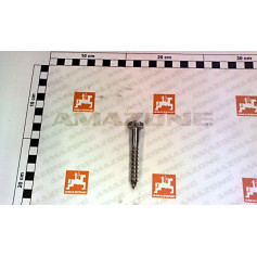 VIS 10X70  571 A2G TIRE-FOND Réf. DA849 AMAZONE