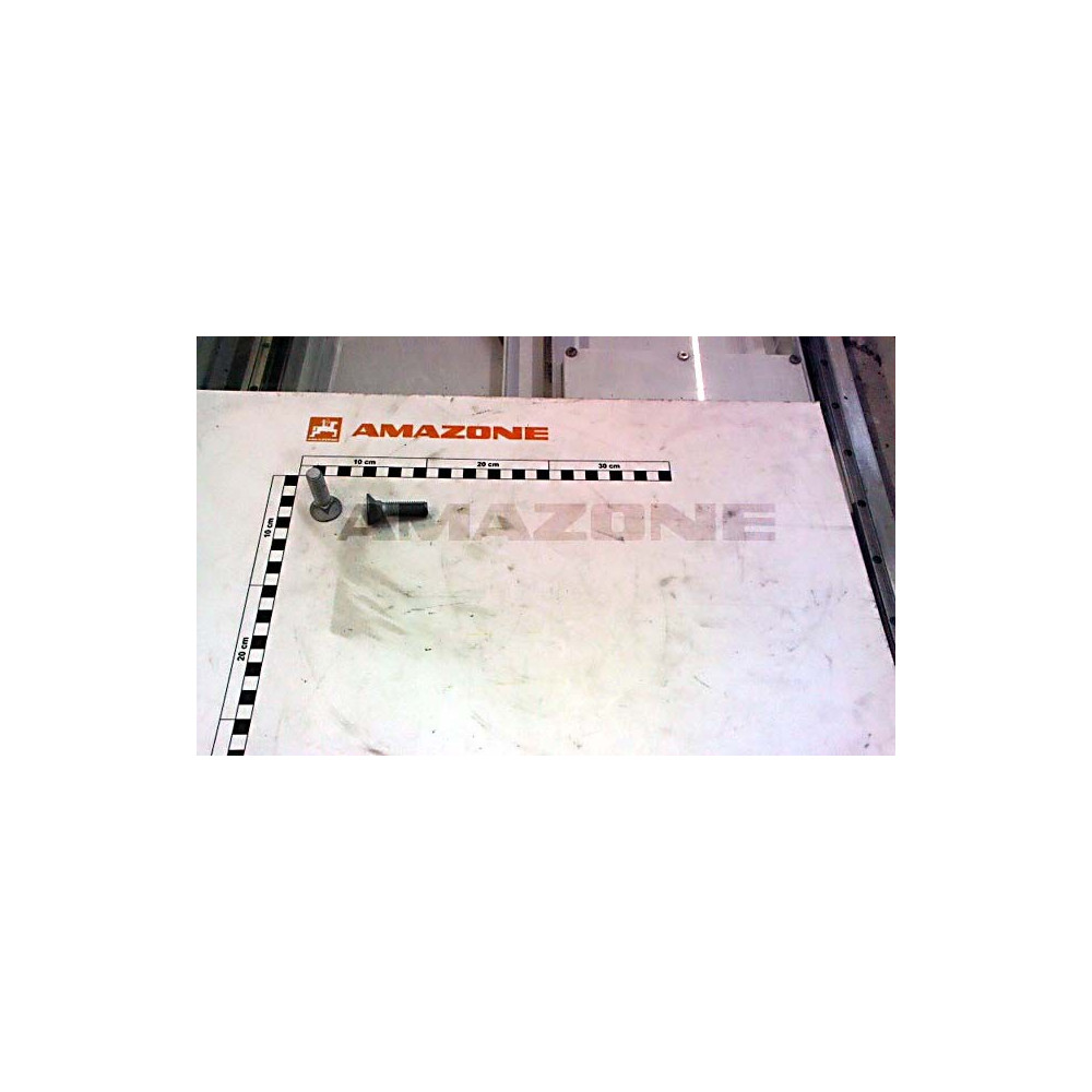 Vis 12X45 12.9 DA847 Amazone