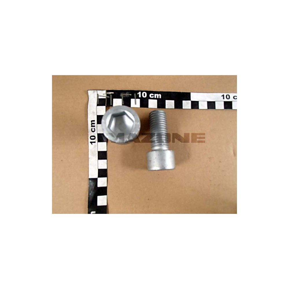 Vis 20X 45 4762 10.9 FLZNL-480H CAT DA850 Amazone