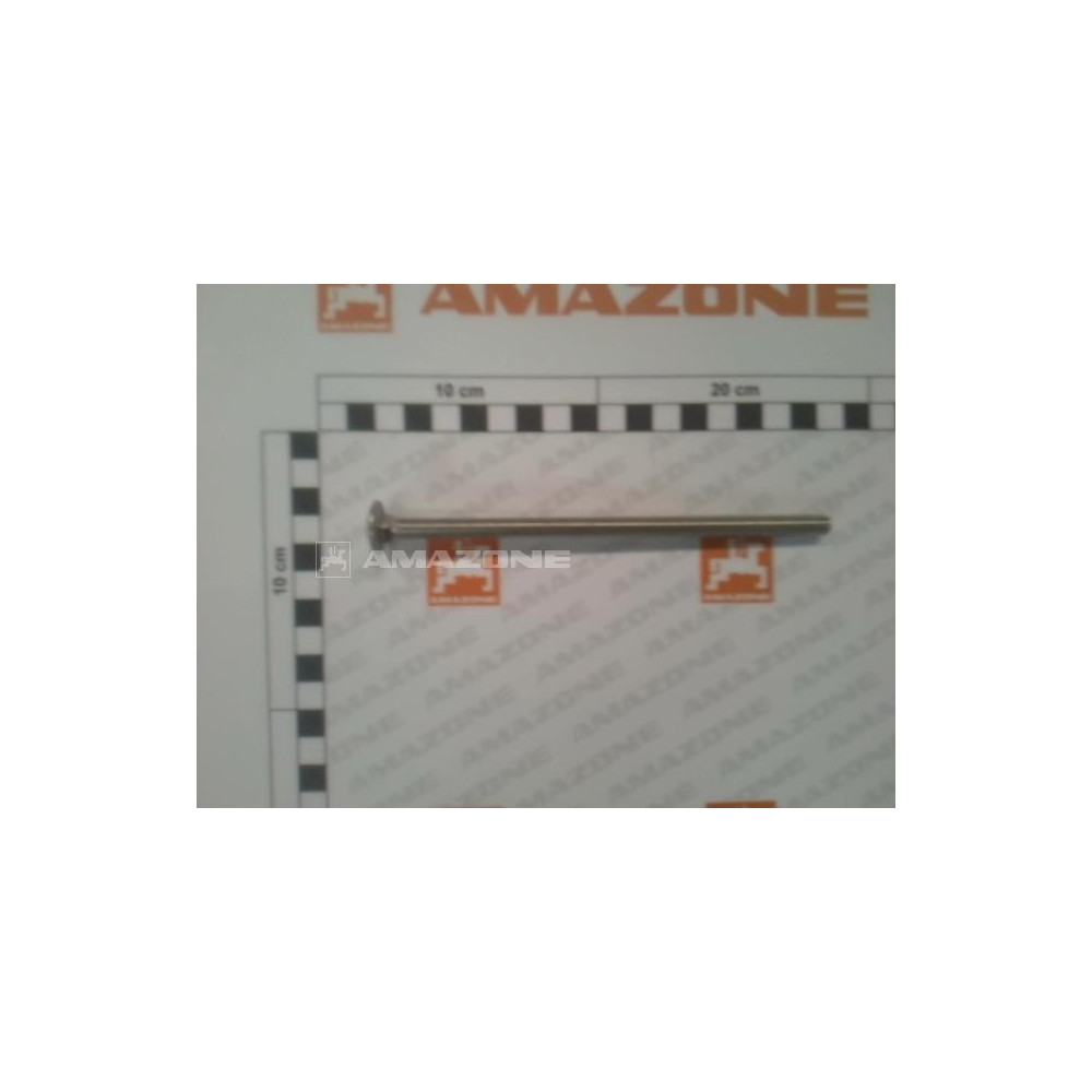 Vis 8X 160 A2-70 DA889 Amazone
