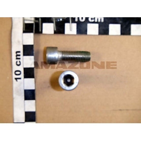 Vis de boitier ZA-V DA892 Amazone