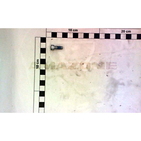 Vis tete cylindrique 6 X 16 Réf. DA917 - AMAZONE Vis tete cylindrique 6 X 16 Réf. DA917 - AMAZONE