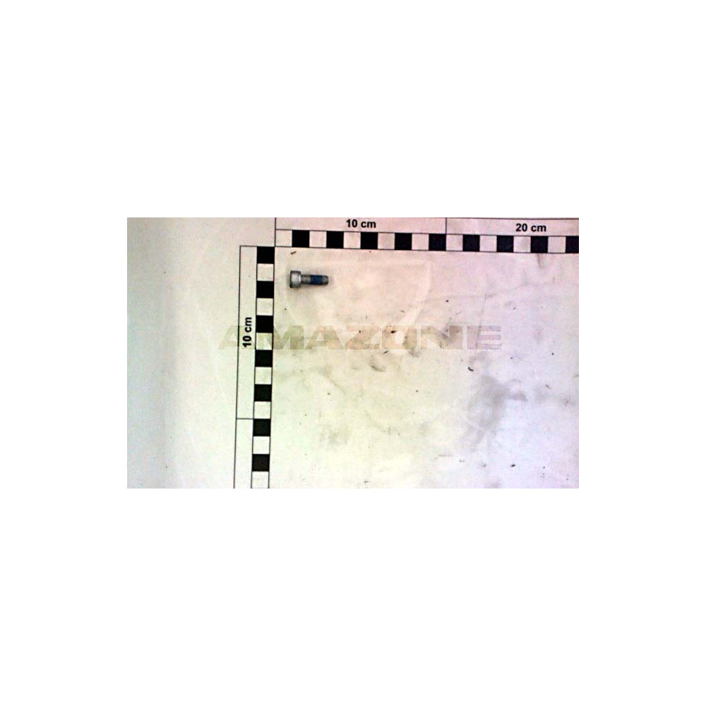 Vis tete cylindrique 6 X 16 DA917 Amazone