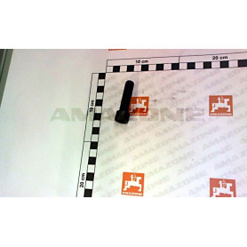 Vis cylindrique 12X45 DA936 Amazone
