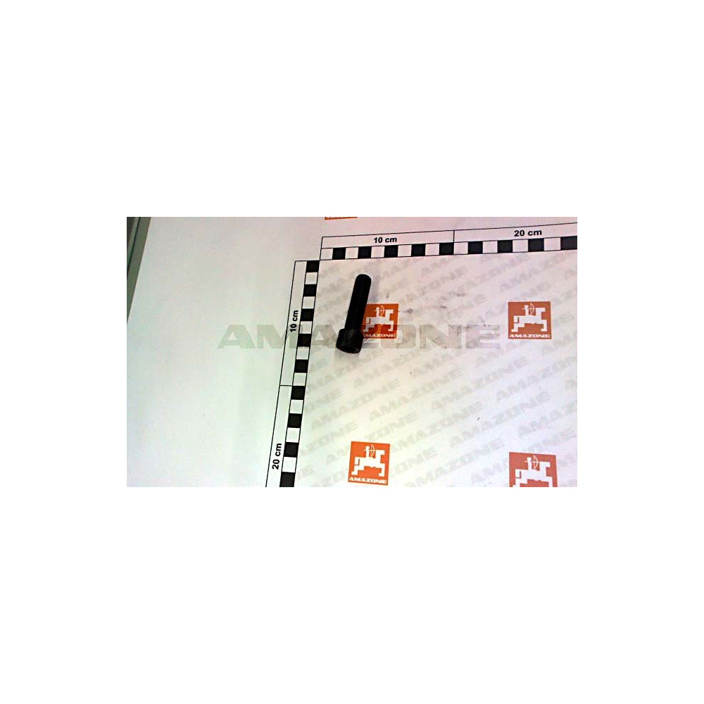 Vis cylindrique 12X45 DA936 Amazone
