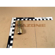 Vis 16X 55 4762 8.8 A2G Réf. DA931 - AMAZONE