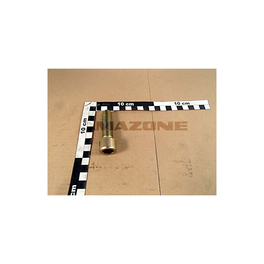 Vis 16X 55 4762 8.8 A2G DA931 Amazone