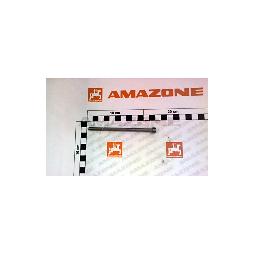 Vis 6X110 ISO 4762 DA937 Amazone