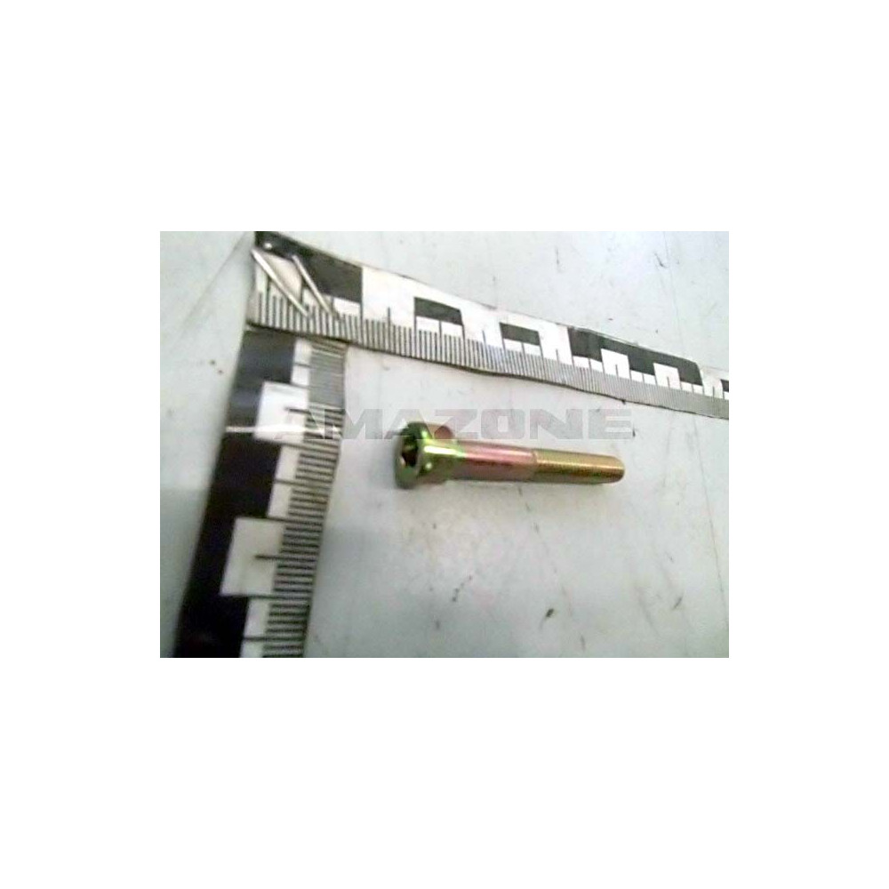 Vis 6X45 8.8 4762 DA965 Amazone