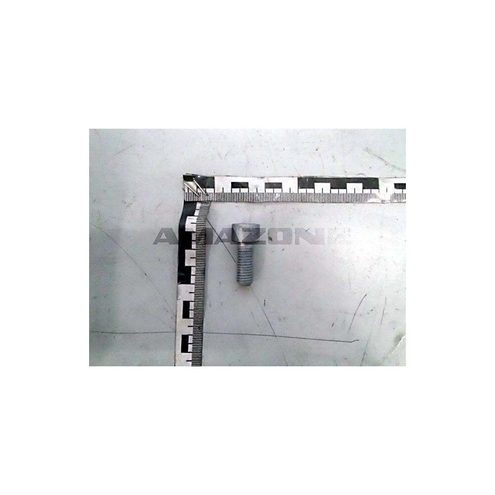 Vis 10X25 10.9 SHR 14579 DA984 Amazone