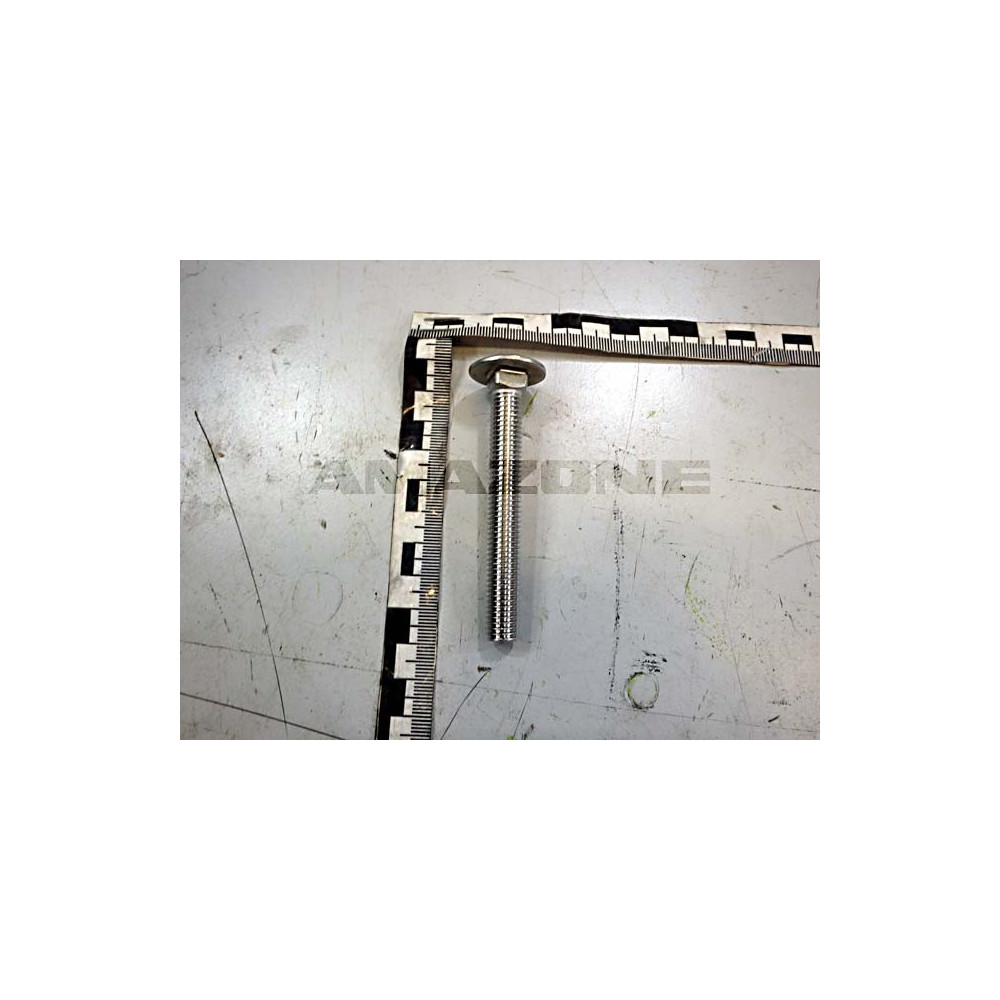 Vis 10 X 80 DA995 Amazone