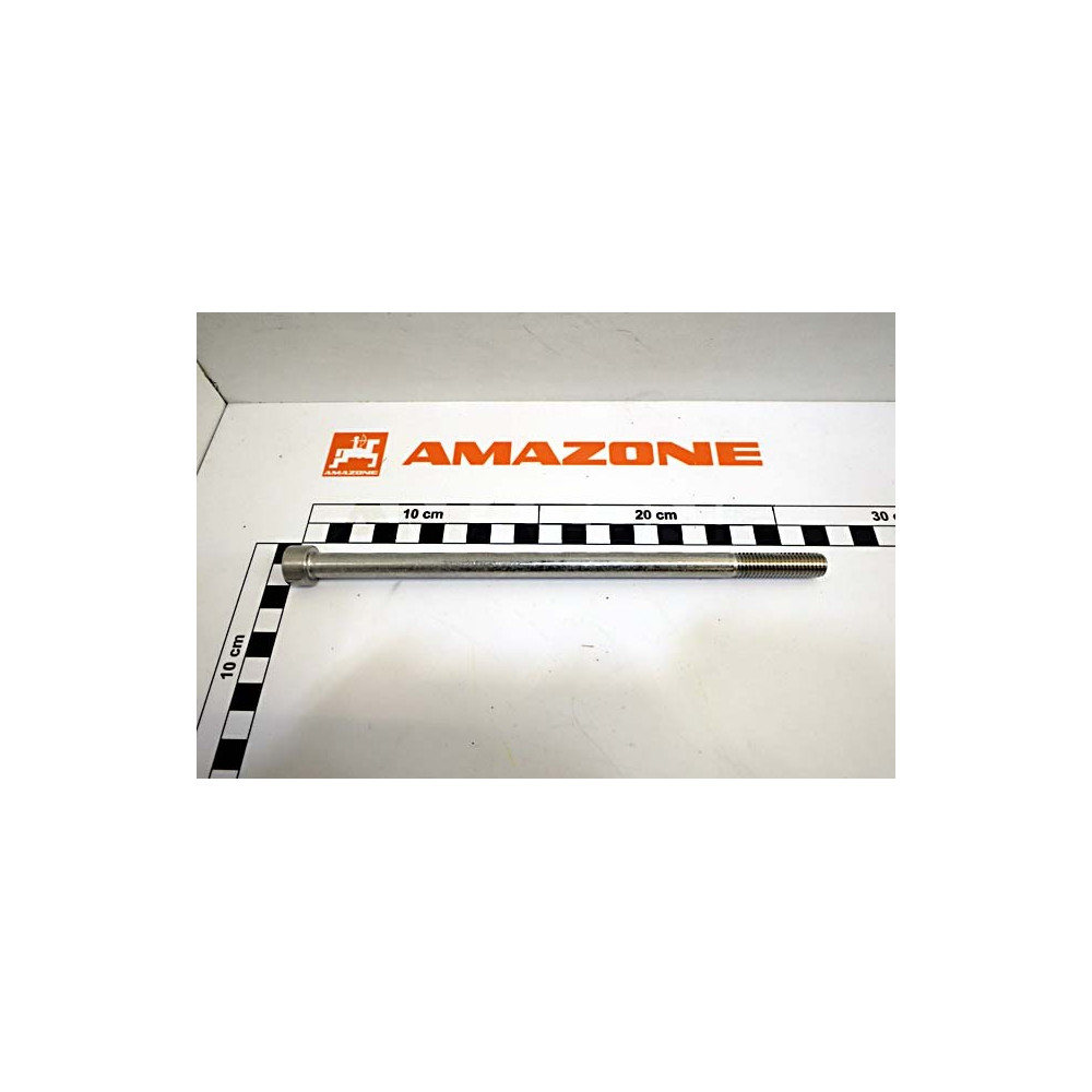 Vis 10X200 DA996 Amazone