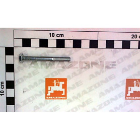 Vis 06X 55 4014 8.8 A2G DB006 Amazone