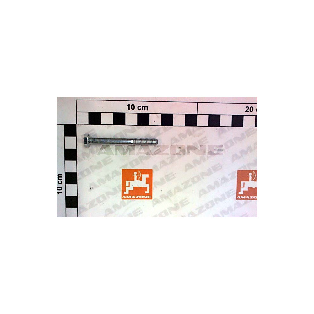 Vis 06X 55 4014 8.8 A2G DB006 Amazone