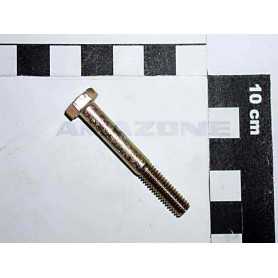 Vis 06X 45 4014 8.8 A2G DB004 Amazone