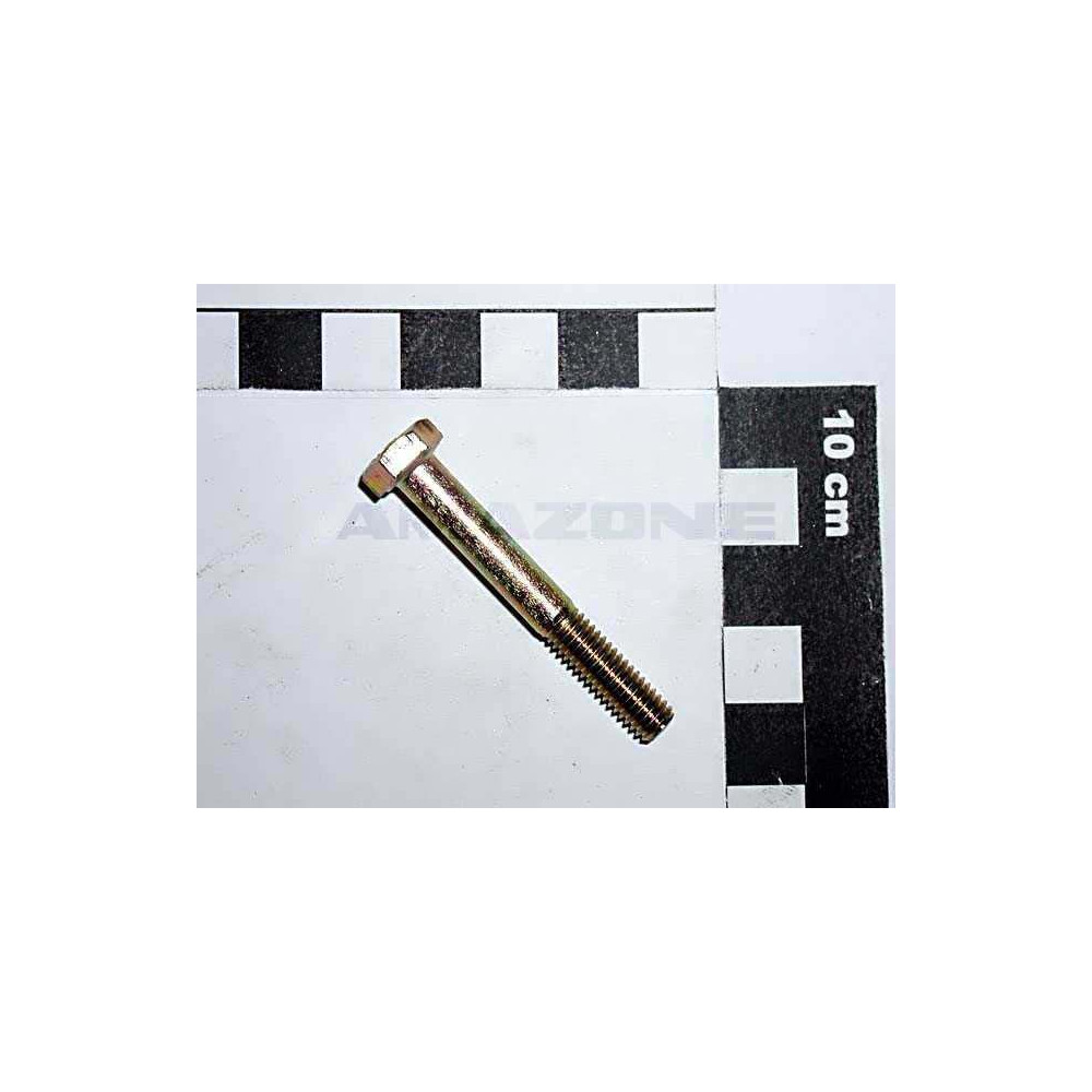 Vis 06X 45 4014 8.8 A2G DB004 Amazone