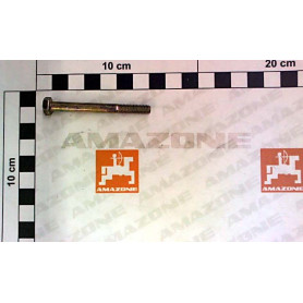 Vis 06X 60 4014 8.8 A2G DB007 Amazone
