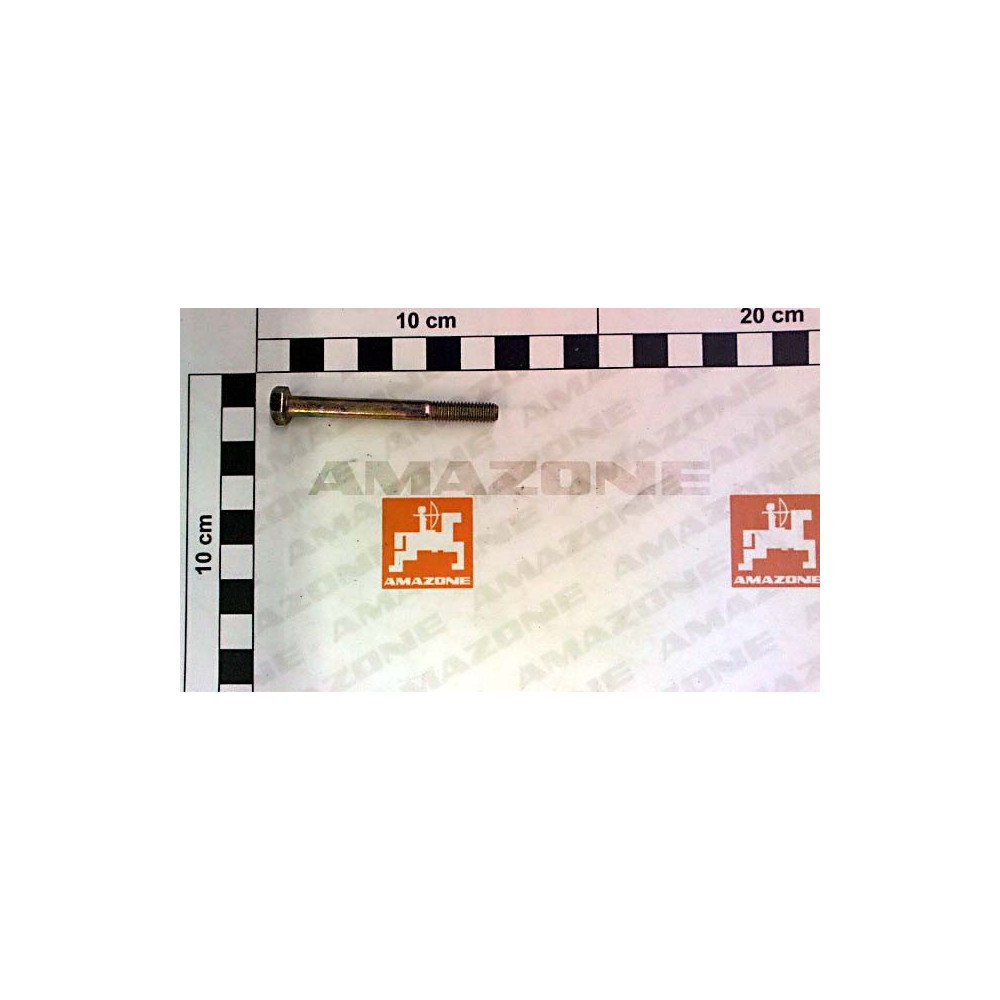 Vis 06X 60 4014 8.8 A2G DB007 Amazone