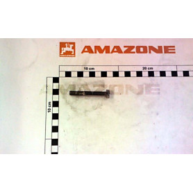 Vis M8X60 DB025 Amazone