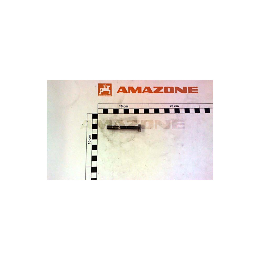 Vis M8X60 DB025 Amazone