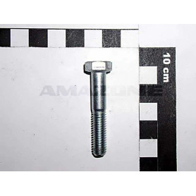 Vis 8X45 DB017 Amazone