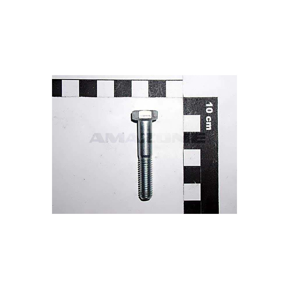Vis 8X45 DB017 Amazone