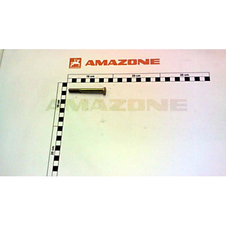 VIS 08X 75 4014 8.8 A2G Réf. DB029 AMAZONE VIS 08X 75 4014 8.8 A2G Réf. DB029 AMAZONE