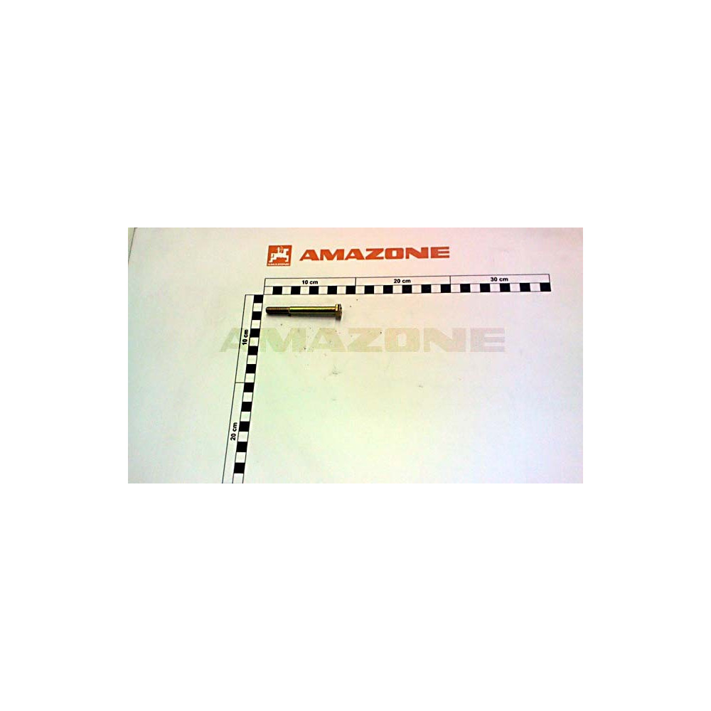 Vis 08X 75 4014 8.8 A2G DB029 Amazone