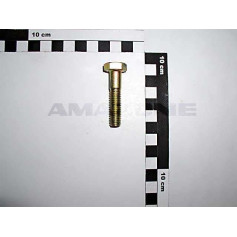 Vis 10 X 45 Réf. DB036 - AMAZONE Vis 10 X 45 Réf. DB036 - AMAZONE