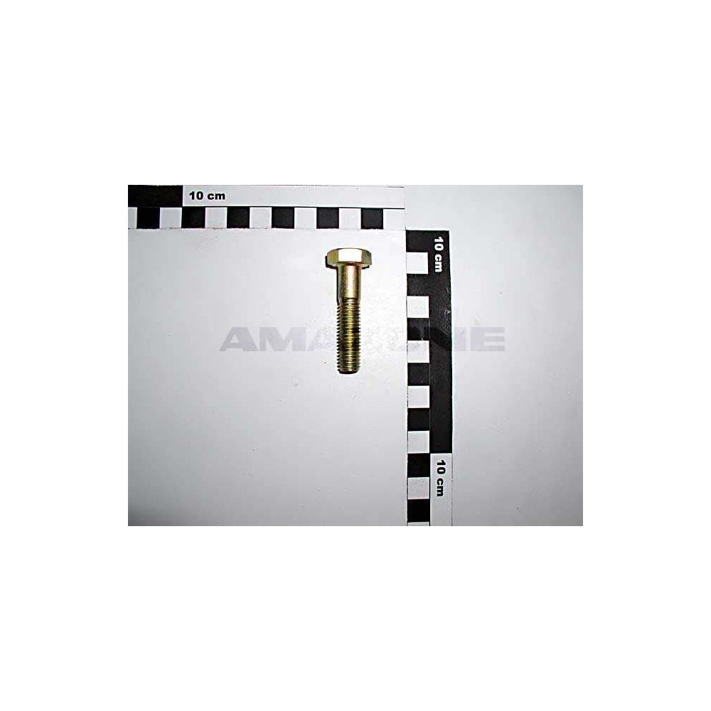 Vis 10 X 45 DB036 Amazone