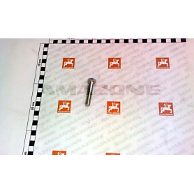 Vis 10X 50 4014 8.8 A2G DB037 Amazone