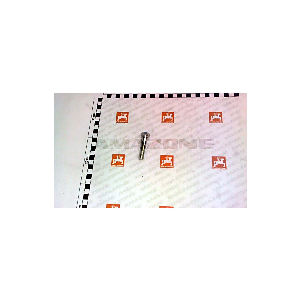Vis 10X 50 4014 8.8 A2G DB037 Amazone