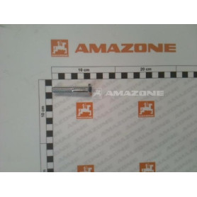 Vis 10X 55 4014 8.8 A2G DB039 Amazone