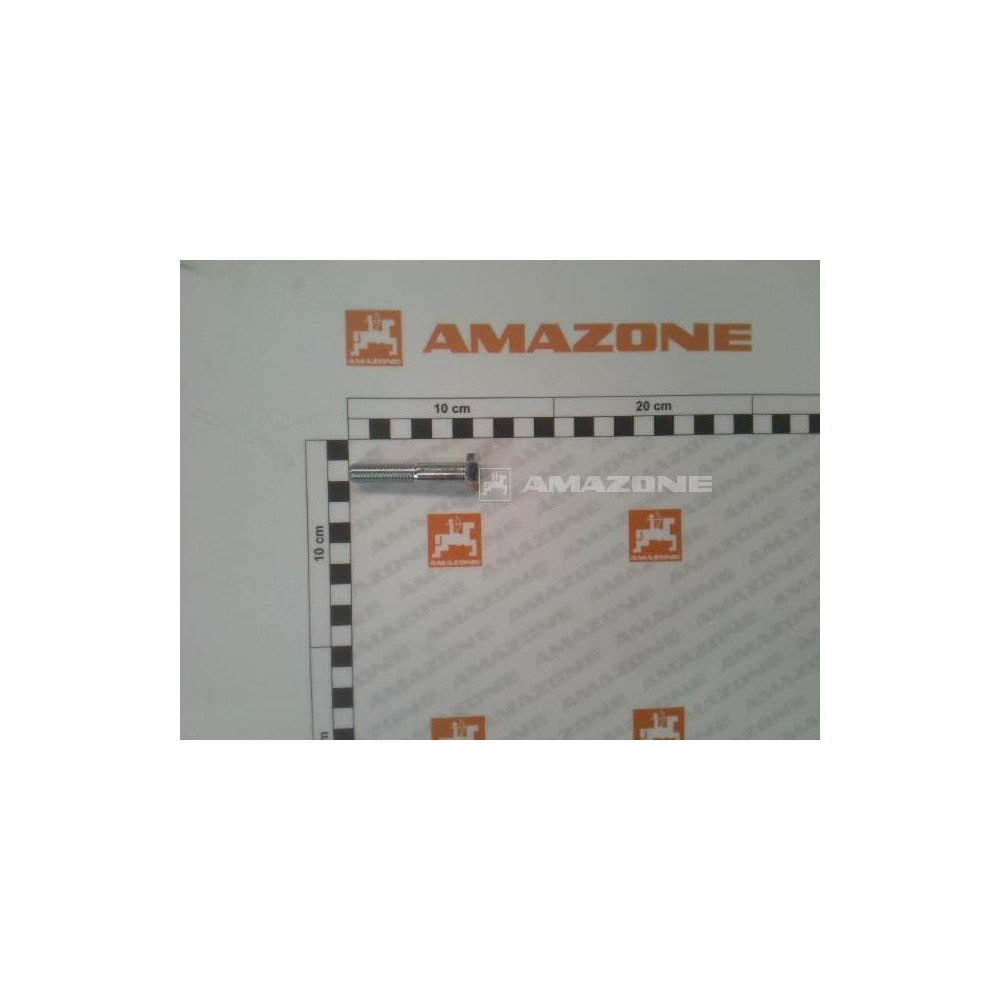 Vis 10X 55 4014 8.8 A2G DB039 Amazone