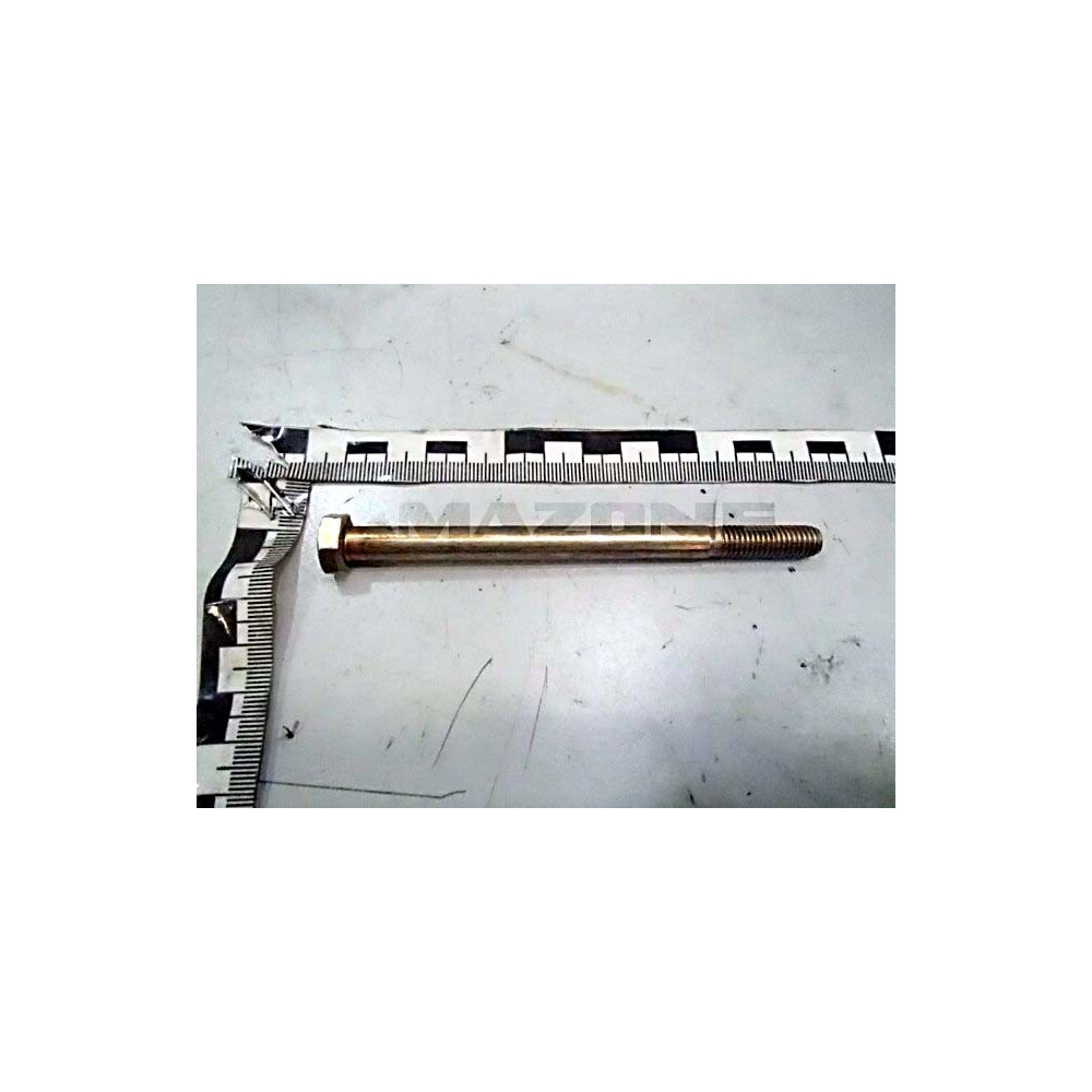Vis 08X110 4014 8.8 A2G DB033 Amazone