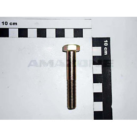 Vis 10X 60 4014 8.8 A2G DB041 Amazone