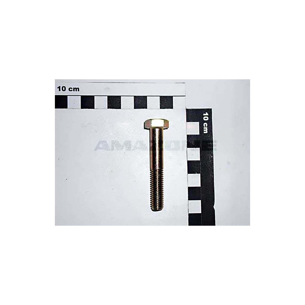 Vis 10X 60 4014 8.8 A2G DB041 Amazone