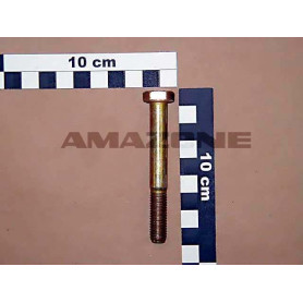 Vis 10X 80 4014 8.8 A2G DB046 Amazone