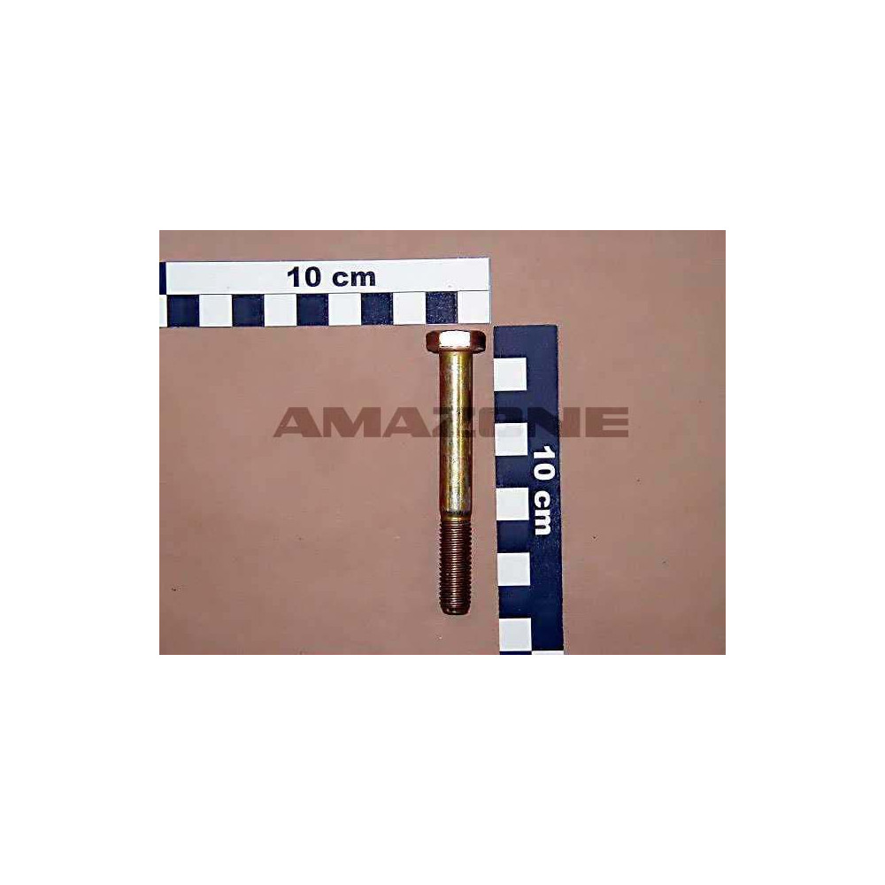 Vis 10X 80 4014 8.8 A2G DB046 Amazone