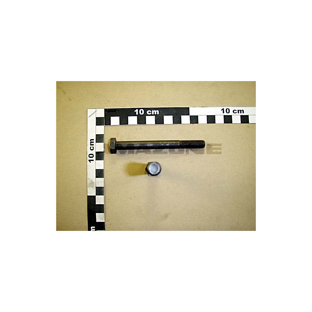 Vis 10X100 4014 8.8 AD DB051 Amazone